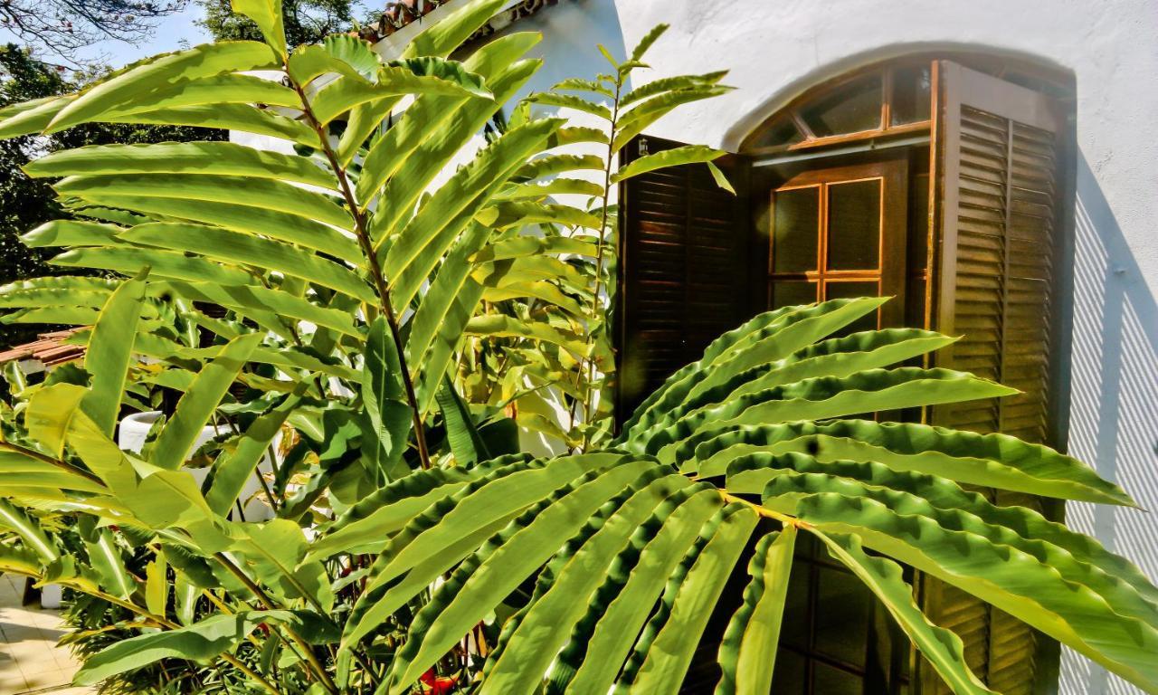 Casa Mani Bed and Breakfast Ubatuba Eksteriør billede